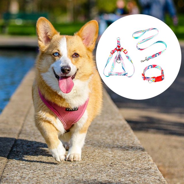 3Pcs/Set Leash Zinc Alloy Print Adjustable Medium Outdoor Decorative Harness Washable Animal Accessories Pink,2.5x120cm XL