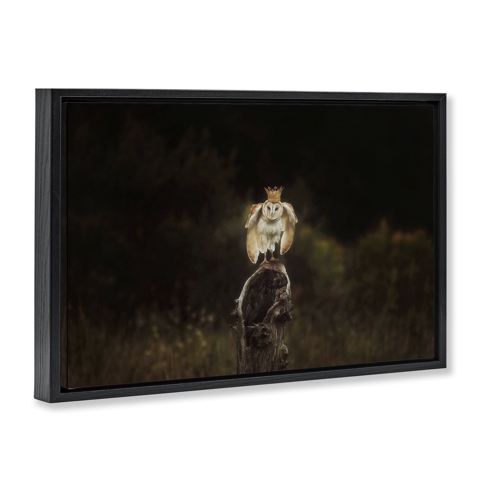 Stupell Industries Crowned Owl Perched Animals & Insects Photography Black Floater Framed Canvas Art Print Wall Art, 25 x 17