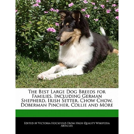 The Best Large Dog Breeds for Families, Including German Shepherd, Irish Setter, Chow Chow, Doberman Pincher, Collie and