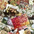 thumbnail image 4 of Floret Farms X Chronicle Books Floret Farm's Cut Flower Garden 100 Postcards: (Floral Postcards, Botanical Gifts), (Hardcover), 4 of 8