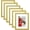 Gold, variant on 5x7 Picture Frame Set of 6, Display Pictures 4x6 with Mat or 5x7 without Mat for Wall Mounting or Table Top Display, Photo Frames Collage for Wall Decor, White