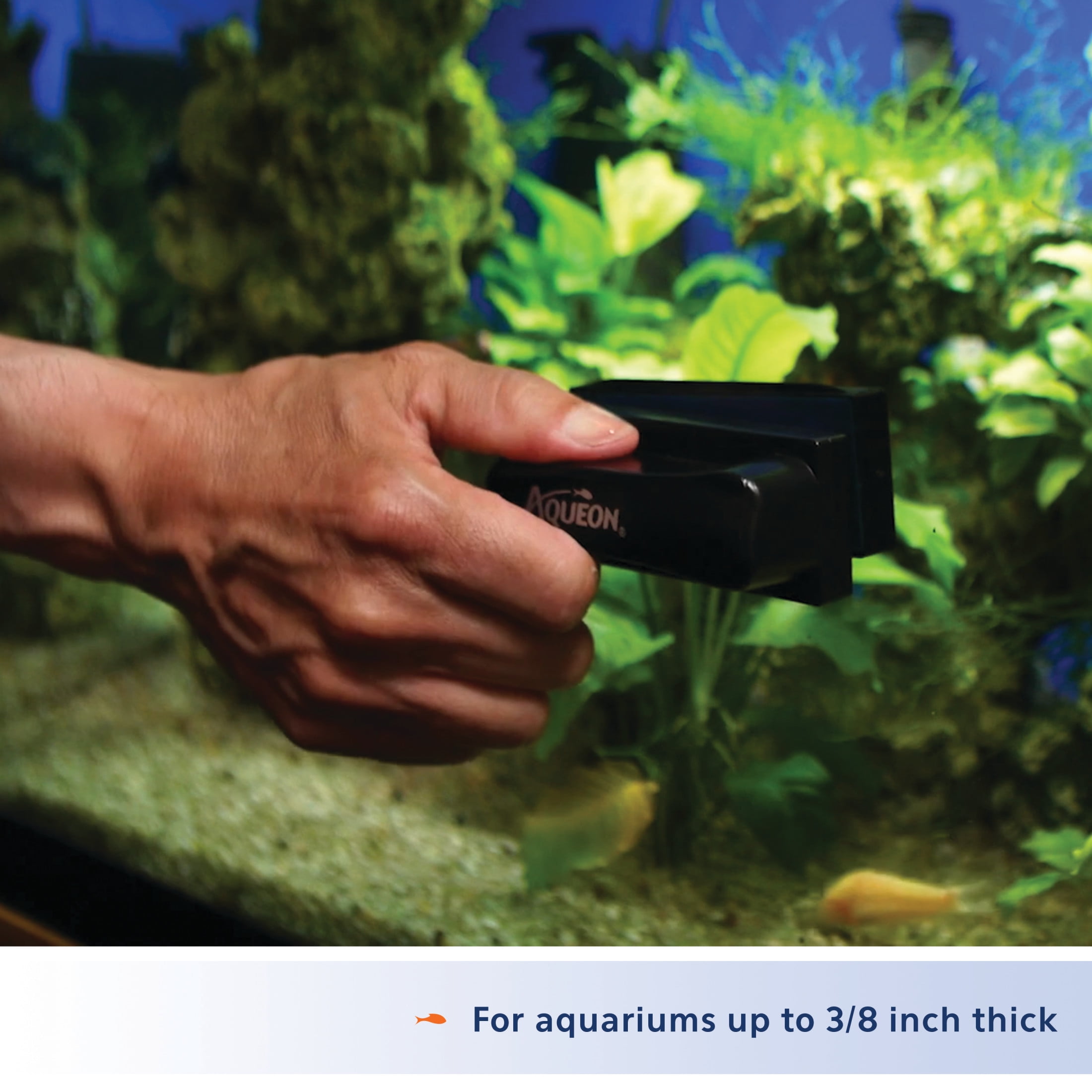 Aqueon Aquarium Algae Cleaning Magnet Medium
