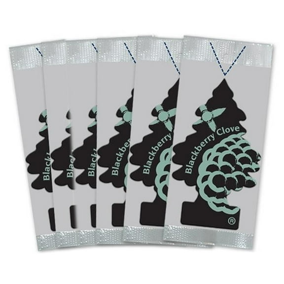 LITTLE TREES Car Air Fresheners 6 Pack, Blackberry Clove