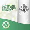 thumbnail image 5 of Air Wick Freshmatic Air Freshener Refill Pack Cherry Blossom 250ml 12 Pack Bulk, 5 of 7