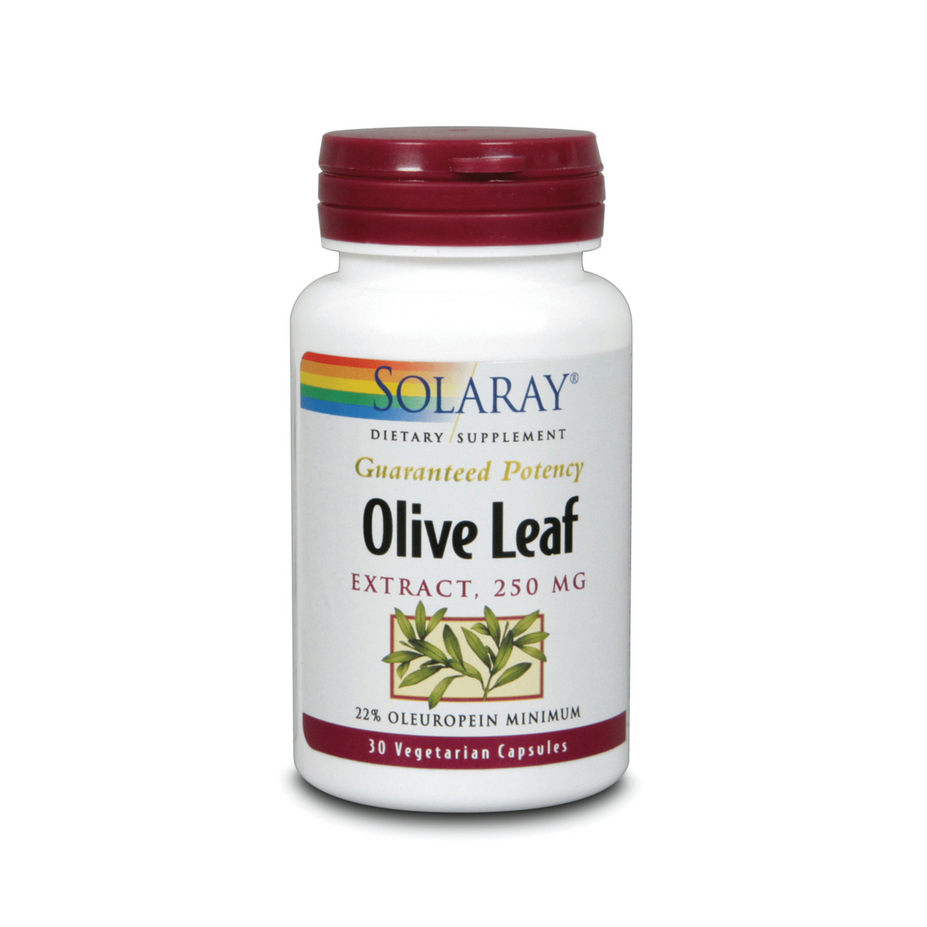 Solaray Olive Leaf Extract 250mg Capsules, 30 Ct