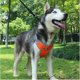 thumbnail image 2 of Dog Protective Vest Adjustable Reflective Breathable Harnesses For Medium Large Dog Breast-band Husky Alaskan Pet Accessories ShopWise Round, 2 of 8
