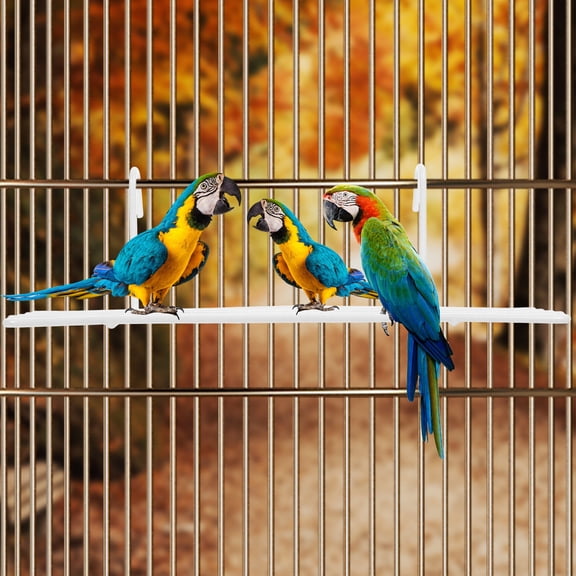 COOPHYA White Metal Bird Cage Stand, Chew-Resistant Pet Bird Perch Holder for Parakeets, Cockatiels, Parrots, Indoor Use