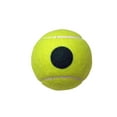 thumbnail image 5 of Pelotas de tenis Penn Control Plus Youth Felt Green Dot x12, 5 of 5