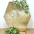 BalsaCircle 8 feet Gold Big Payette Sequin Hexagon Backdrop Stand Cover ...