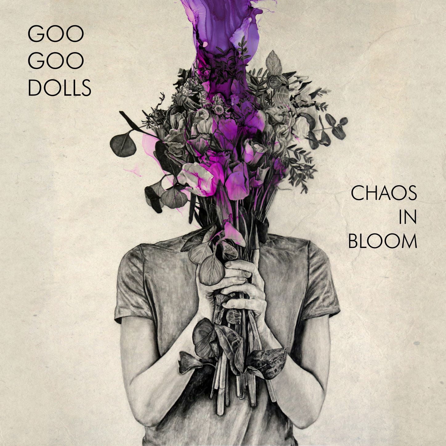 Goo Goo Dolls - Chaos In Bloom - Music & Performance - Vinyl