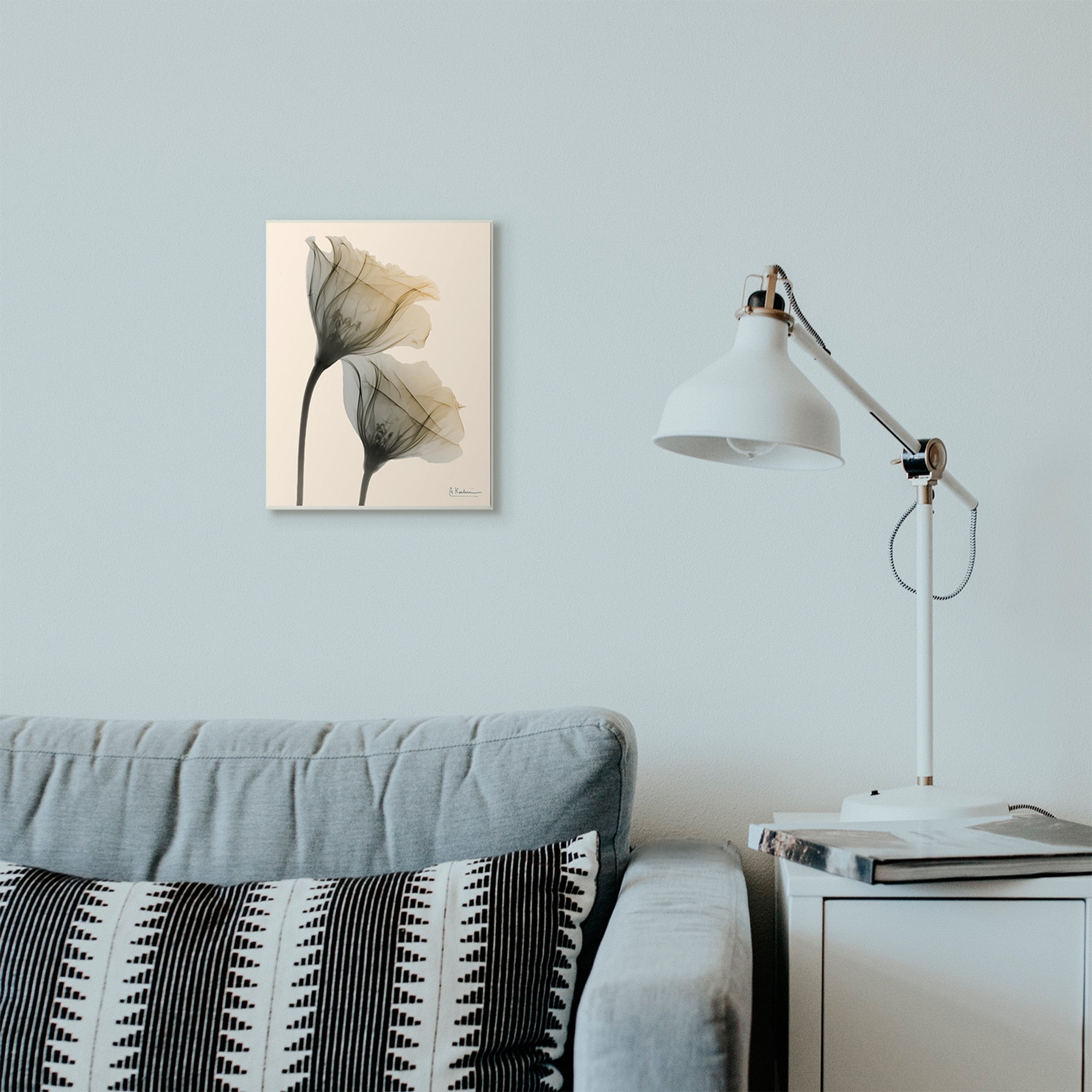 Stupell Industries Neutral Light Flower Photograph Wall Plaque by Albert Koetsier, 10" x 15", Wall Plaque