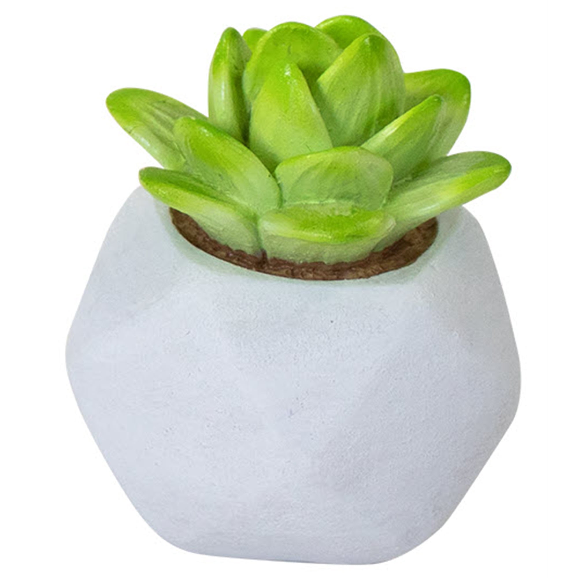 Succulent Decor Aquarium Resin Decorations for Fish Tanks - Size Small - Selection Will Vary
