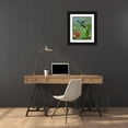 thumbnail image 3 of Fitzharris, Tim 15x18 Black Ornate Wood Framed with Double Matting Museum Art Print Titled - Green Crowned Brilliant Hummingbird, 3 of 4
