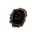 thumbnail image 6 of Halloween Break-in 3D Wall Decals, Halloween Broken 3D Wall Decals, 6 of 6