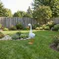 thumbnail image 6 of White Goose Statue For Garden Decor, Large Metal Porch Goose Figurine, Farmhouse Outdoor Yard Art Ornament For Patio Lawn, Weather Resistant Sculpture For Home Decoration (24in), 6 of 9