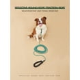 thumbnail image 4 of Pet Training Leash, 4 of 4