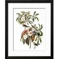 thumbnail image 2 of Audubon: Warbler, 1827-38, Animals Framed Art Print Wall Art by John James Audubon Sold by Art.Com, 2 of 6