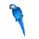 thumbnail image 1 of 20 De Resina Gran Modelo De Aves De Estatuil Juguetes Para Jardín Ornamento arte Decoración Decoración Colgante De Jardín 38cm azul CUTICAT Adorno de loro realista, 1 of 6