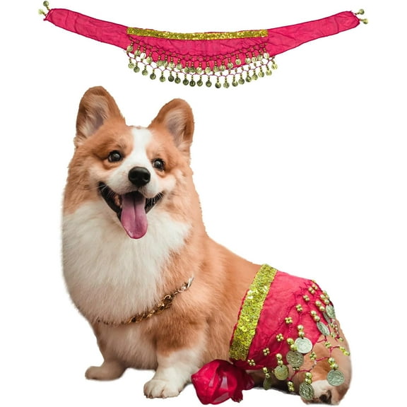 Dog Belly Dancer Costume - Puppy Outfit with Sequin Waist Chain & Hip-Shaking Skirt - Ideal for Corgi and Puppy Birthday Parties or Halloween Celebrations(Small,Rose Red)