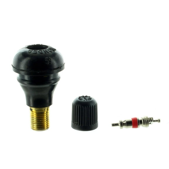 Can-Am New OEM Rim Valve, 705400193