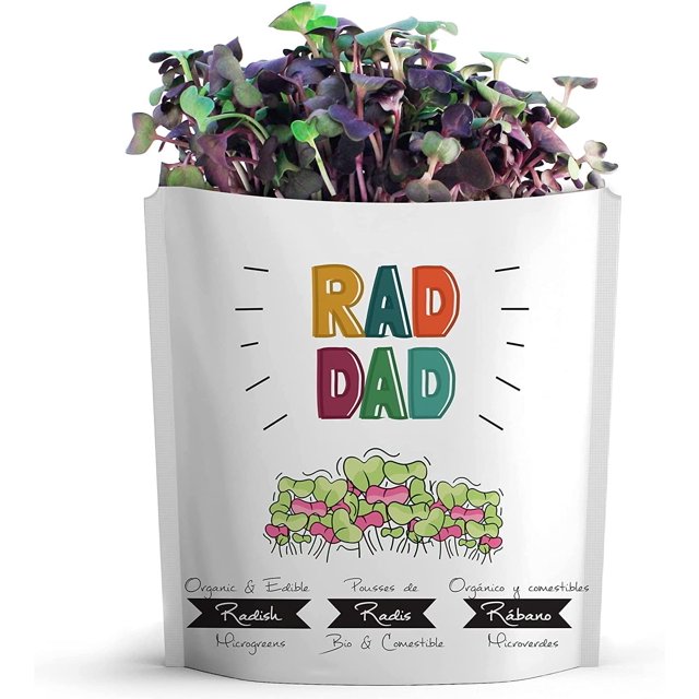 WWS-RAD DAD Fathers Day Card by | Greeting Cards with Organic Microgreens! Just Like Post Cards, Simply Mail and Recipient Gets to Grow & Eat | Greeting Cards for All Occasions | 1 PACK