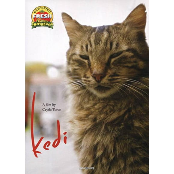 Kedi DVD