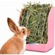 thumbnail image 3 of Rabbit Feeder Bunny Guinea Pig Hay Feeder, Hay Guinea Pig Hay Feeder, Chinchilla Plastic Food Bowl (Pink) Pink -, 3 of 4
