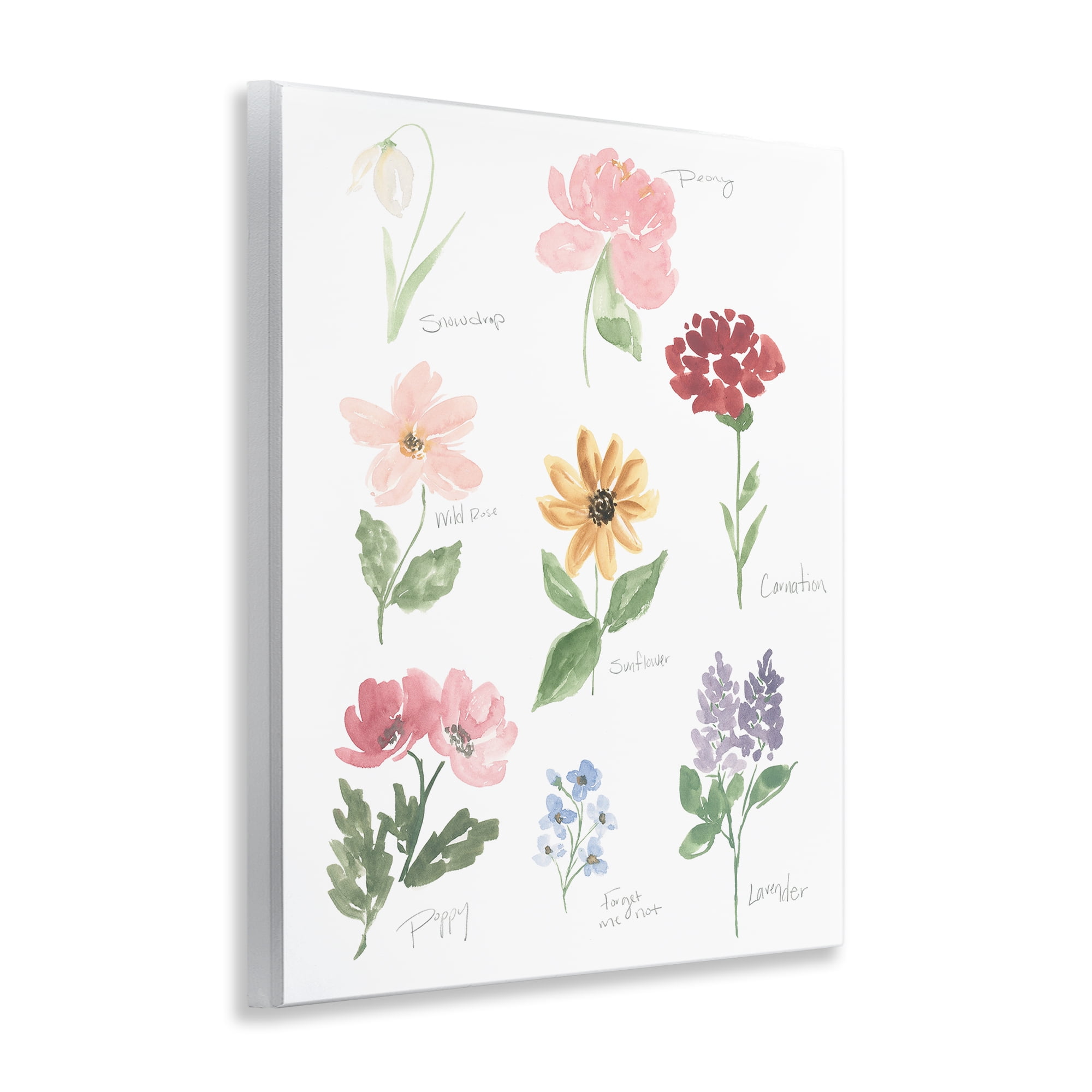 Stupell Industries Labeled Flower Varieties Wall Plaque Art, design by Lucille Price