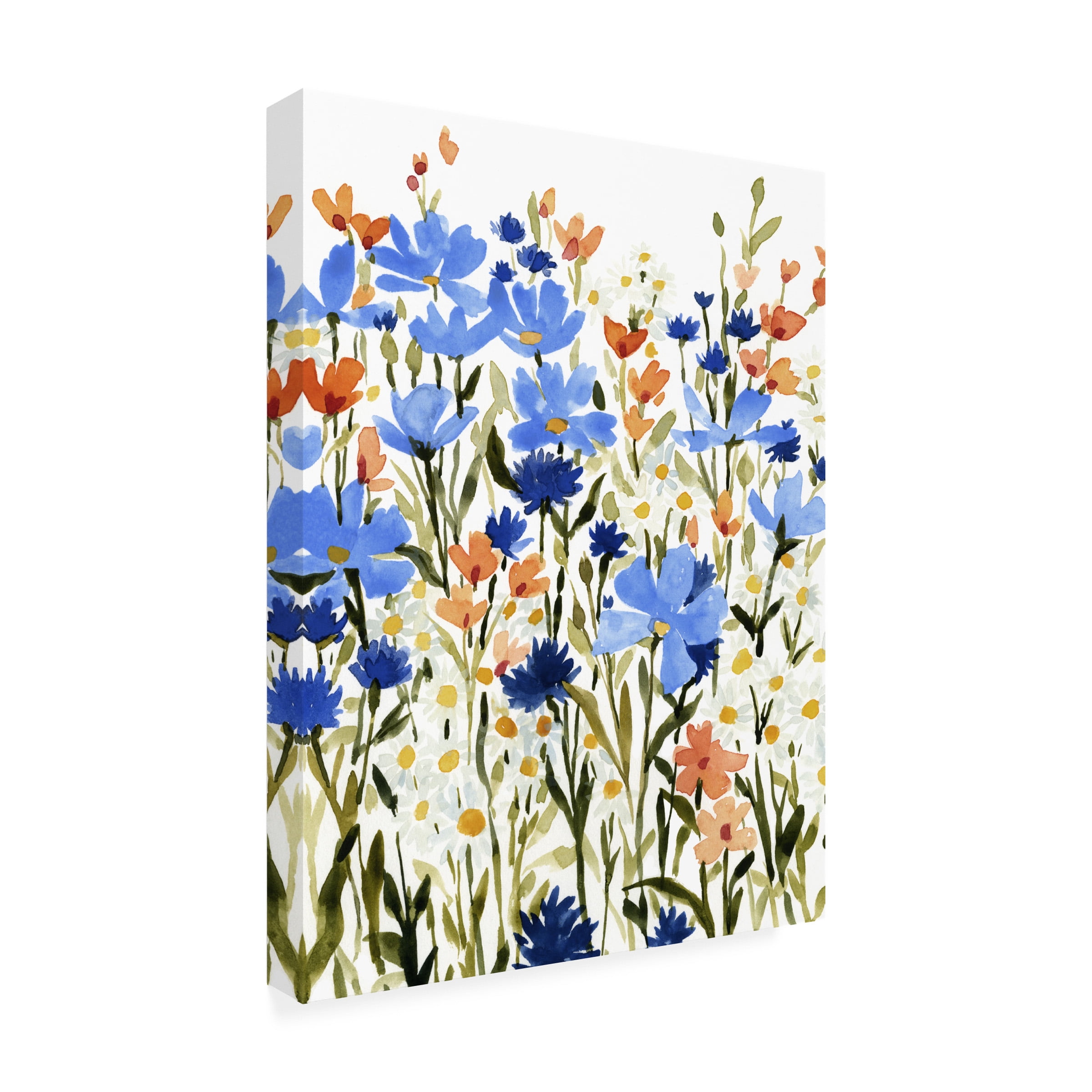 Emma Caroline 'Bright Wildflower Medley II' Canvas Art