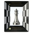 Hanayama Cast Chess Puzzles Queen