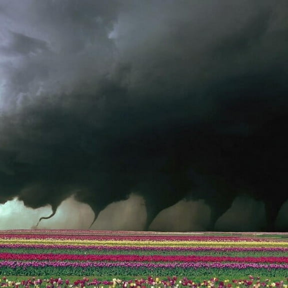 M.A.G.S. - Destroyer - Music & Performance - Vinyl