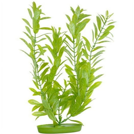 Marina Aquascaper Hygrophila Aquarium Plant