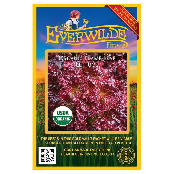 Everwilde Farms - 500 Organic Flame Leaf Lettuce Seeds - Gold Vault Jumbo Bulk Seed Packet