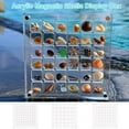 thumbnail image 3 of SDFGTstore Large Capacity Acrylic Shell Display Case Stackable Small Shell Craft Organizer, 3 of 11