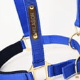 thumbnail image 3 of Large HILASON Western Horse Top Grade Nylon Comfortable & Flexible Halter, 3 of 3