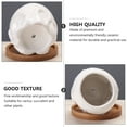 thumbnail image 2 of MasteelfCA Adorable Succulent Planter Cartoon Octopus Ceramic Flowerpot Desk Decoration, 2 of 8