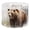 Color 1, variant on Linen Drum Lamp Shades Rustic Woodland Bears Animal Bear Wildlife Animal Hunting 13" x 13" x 10" Lampshade for Table Lamps Floor Lamps Lamp Shade Replacement Easy Assembly Required
