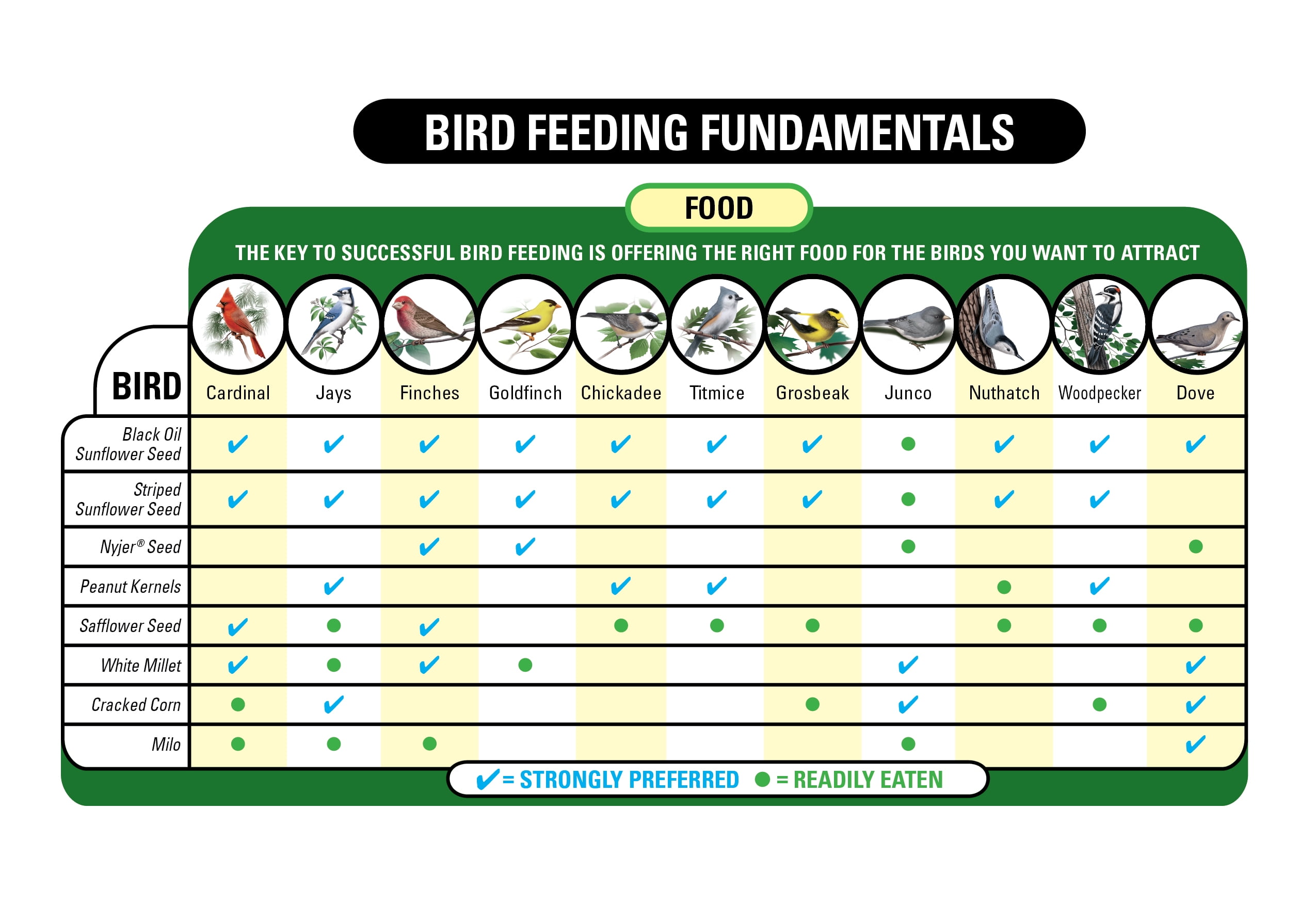 20 LB Wagner's Four Season Wild Bird Food