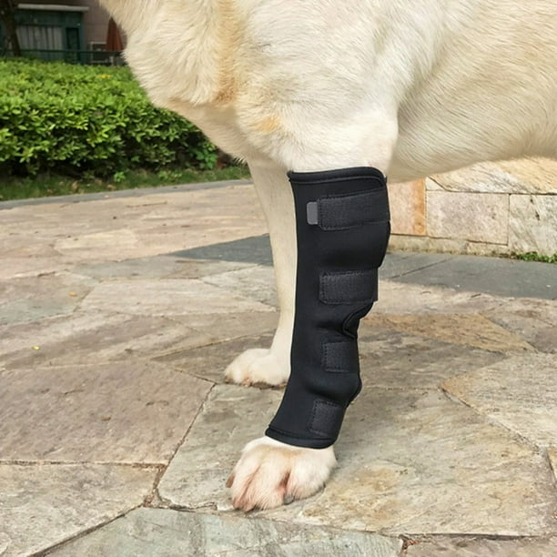 Dog Canine Front Leg Brace Paw Compression Wraps with Protects Wounds