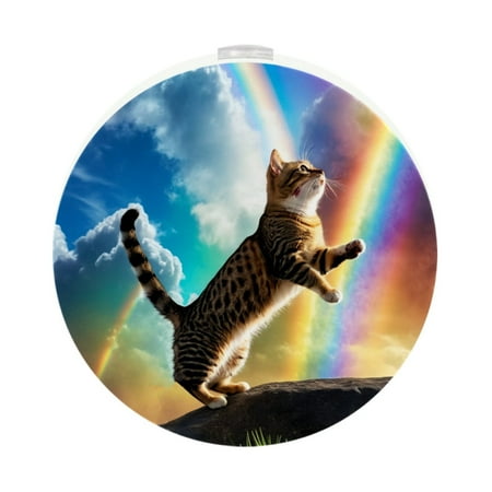 

Night Lights Plug Into Wall [2 Pack] Night Light for Kids LED Nightlight with Dusk to Dawn Sensor for Bathroom Decor Children Room Galaxy Rainbow Planet Animal Cat Earth