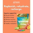 thumbnail image 4 of Essential Elements Hydration Packets - Variety pack - Electrolytes Powder No Sugar - 24 packs, 4 of 9