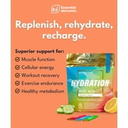 Essential Elements Hydration Packets - Variety Pack - Electrolytes Powder No Sugar - Electrolyte Drink Mix - Superior Hydration with ACV & Vitamin C - 24 Stick Packs