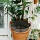 thumbnail image 2 of 2 protectores de suelo para macetas, rejilla para macetas, para plantas, balcón, flores, para el hogar, 2 of 4