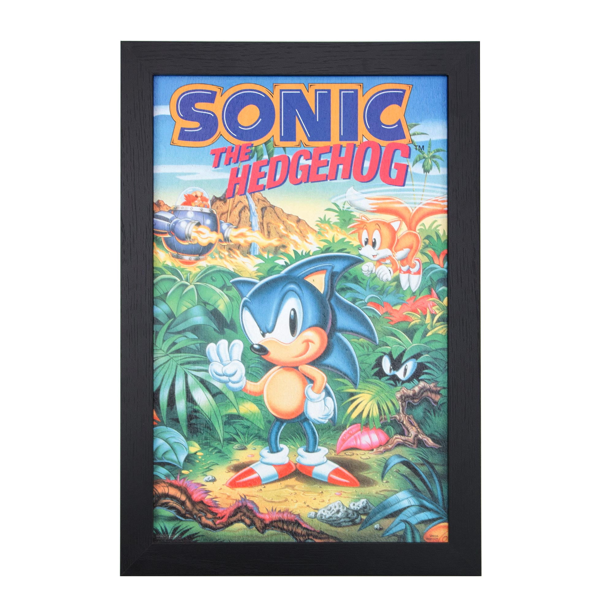Sonic The Hedgehog 3 Movie Film Poster Decor - Angelicshirt