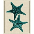 thumbnail image 2 of Vision Studio 15x18 Black Ornate Wood Framed with Double Matting Museum Art Print Titled - Coastal Starfish II, 2 of 4