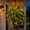 1set, variant on Glowing Boston Ferns with Lights, Oversized Pre-Lit Artificial Boston Ferns - 88 Leaves, No Watering, No Fading, for Porch, Patio, Home and Garden Decor