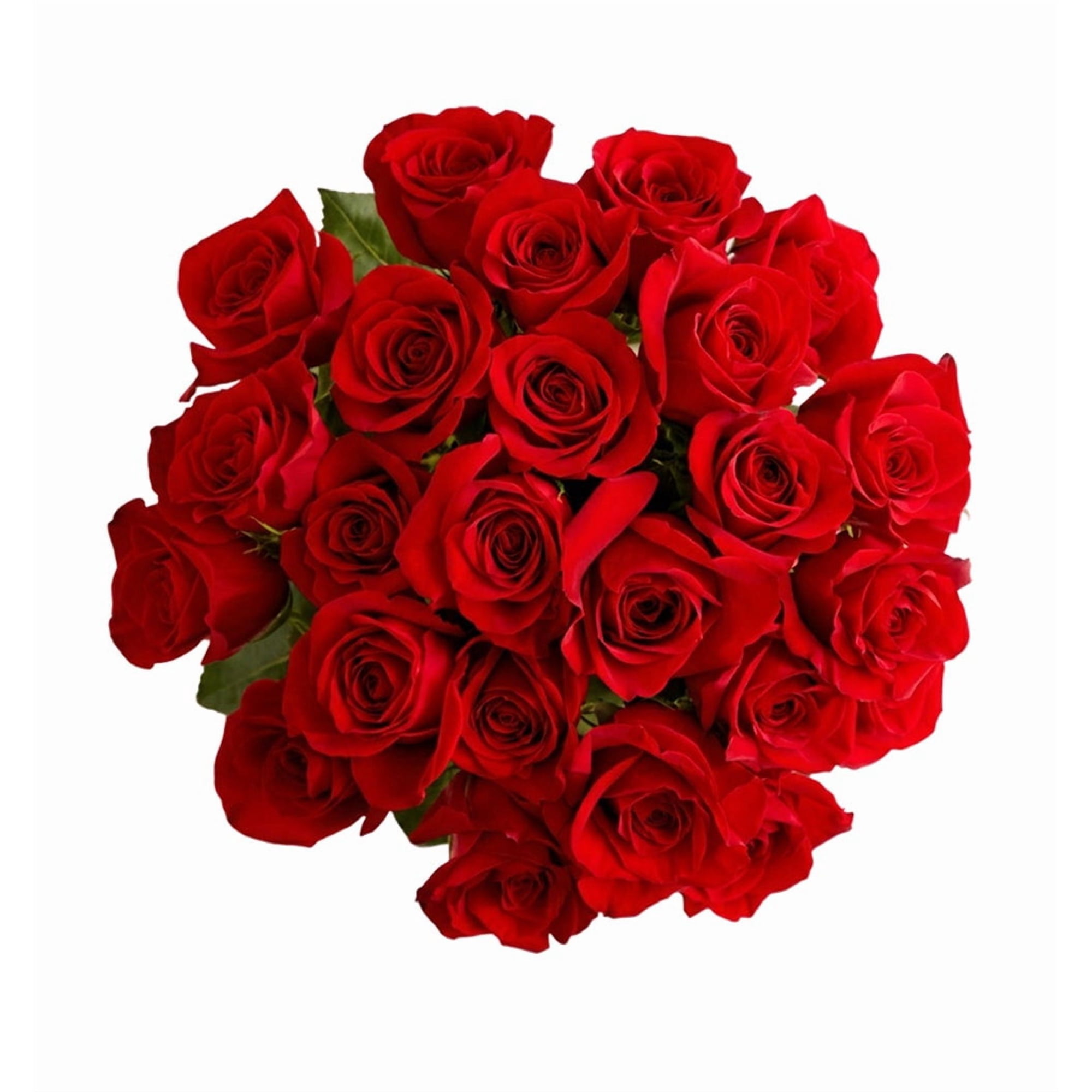 1800 Flowers - 36 Stem Red Roses (Bouquet Only) - Bulk Fresh Flowers for Delivery - Gift for Birthday Anniversary Get Well Thank You