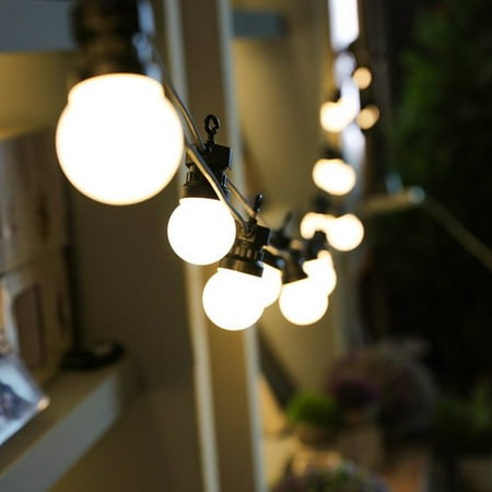 Breakwater Bay Ewert Globular Led 24 Light String