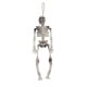 thumbnail image 1 of 1 adorno de esqueleto de Halloween para decoraciones de Halloween., 1 of 3