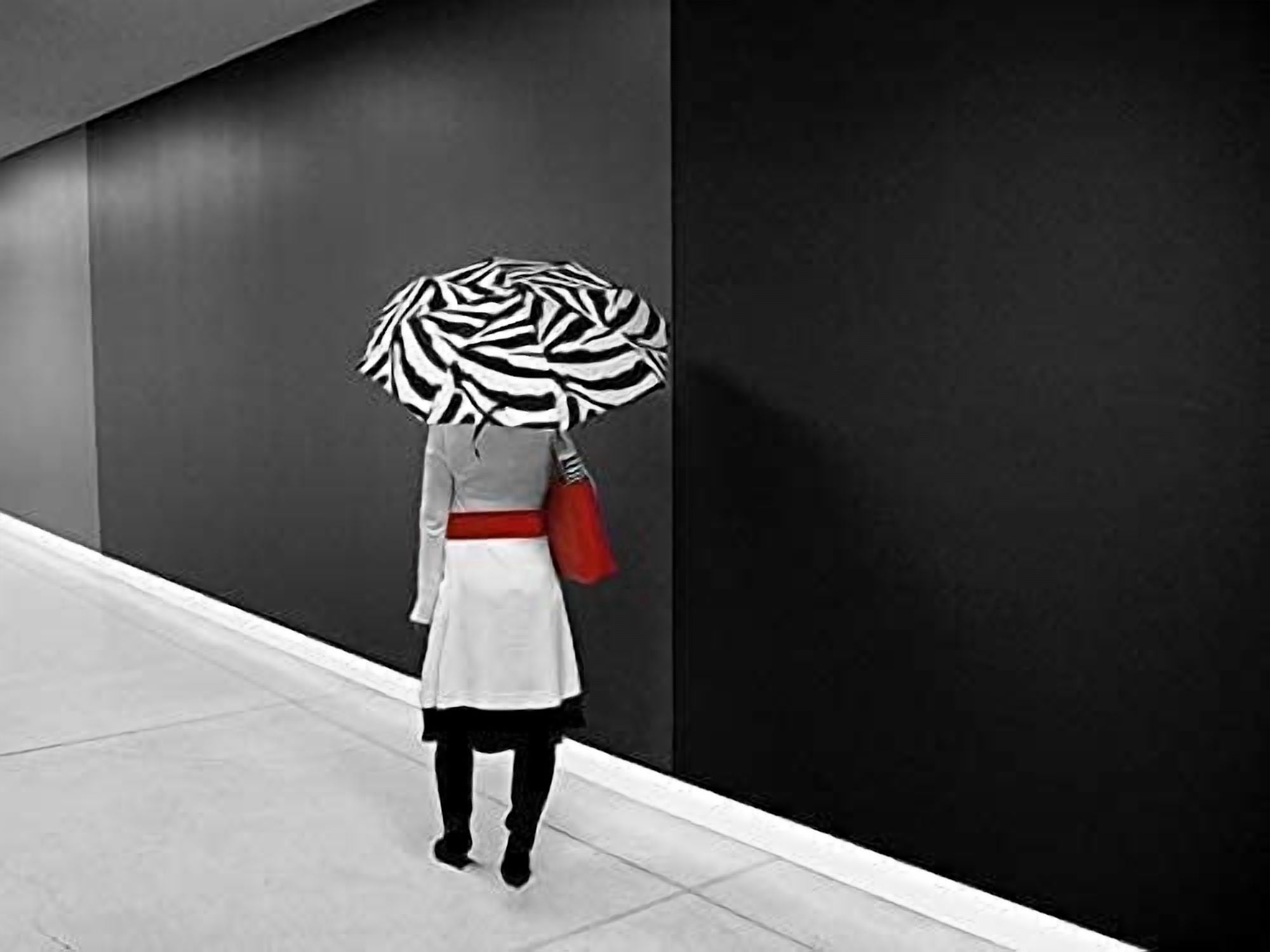 Vinrella 131-A Wine Bottle Umbrella Zebra